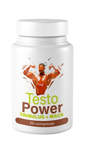 Testo Power